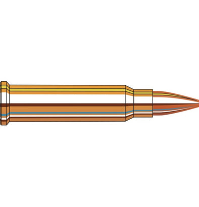 HORNADY 17 HMR 20GR HP XTP (50PK)