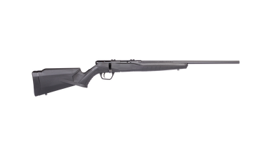 SAVAGE B17 F BLUED SYNTHETIC [CAL:17 HMR]